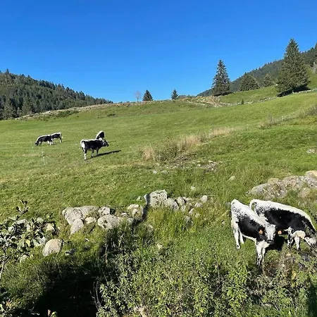 Le Royal Nathalie Mn La Rouge Dağ evi La Bresse