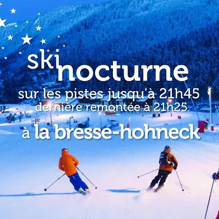 Dağ evi Le Royal Nathalie Mn La Rouge La Bresse