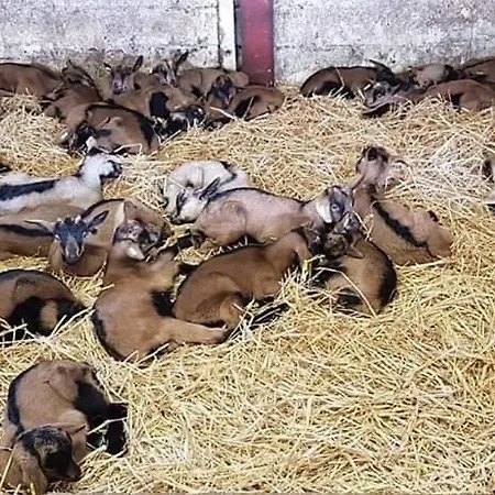 Le Royal Nathalie Mn La Rouge Alpesi faház *