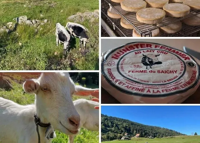 Le Royal Nathalie Mn La Rouge * La Bresse